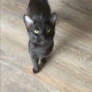 Meet your Posher, Hope